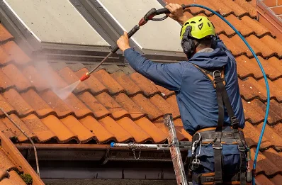 Démoussage et hydrofuge de toiture à Lussant